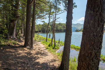 The bassa lake of oles in the Aran Valley