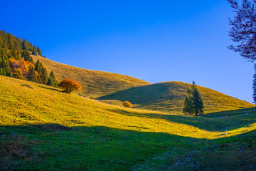 The joy of autumn colors in the Bavarian mountains.