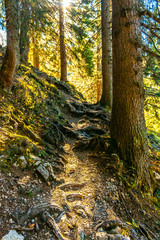 The joy of autumn colors in the Bavarian mountains.