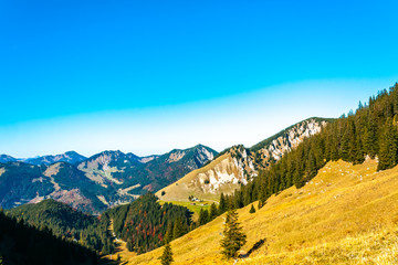 Fototapeta premium The joy of autumn colors in the Bavarian mountains.