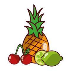 fruits fresh organic