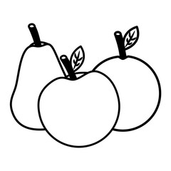 fruits fresh organic