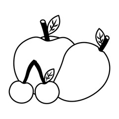 fruits fresh organic