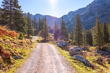 Obraz premium The joy of autumn colors in the Bavarian mountains.