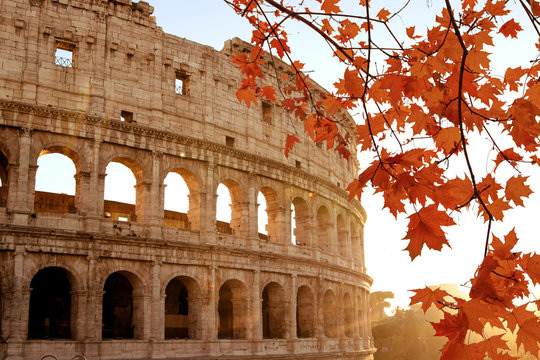 Colosseum at morning autumn sunlight in Rome Italy.