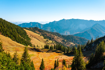 Fototapeta na wymiar The joy of autumn colors in the Bavarian mountains.