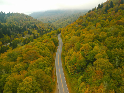Aerial Drone view of Mountain Back road during Autumn / Fall foliage.  In the  Blue Ridge of the Appalachian Mountains near Asheville, North Carolina. 