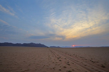 Jeep tracks in the sand past a lone tree