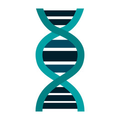 dna molecule genetic