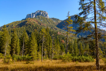 Berge vor Hochmoor im Herbst bei Sonne