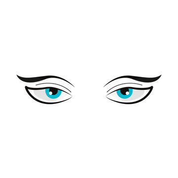eyes with eyebrows on white background