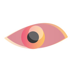human eye isometric on white background