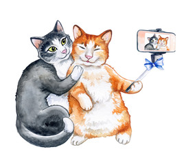 Funny cats - Self picture isolated on white background. Selfie stick in his hand. Funny cats are taking a selfie with smartphone camera. Couple of cat taking a selfie together. Watercolor. 