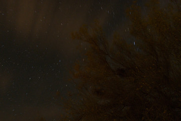 abstract background with space for your text