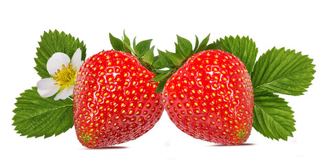 Strawberry with flower isolated on white background