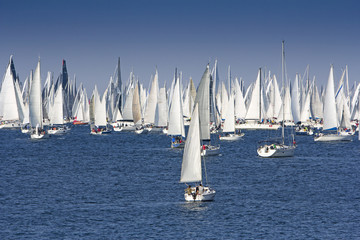 One oft Biggest sail boat regata in the world, Barcolana, Trieste regatta