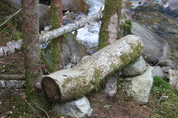 Sitzbank im Wald, Holzbank