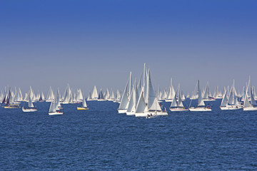 Fototapeta premium One oft Biggest sail boat regata in the world, Barcolana, Trieste regatta