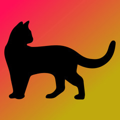 cat cartoon illustration