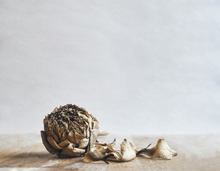 Close up dried lotus flower or waterlilly on wooden background