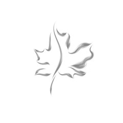 Smoky maple leaf silhouette.