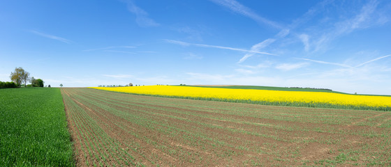 Felder im Frühling - ländliche Kulturlandschaft als Panorama
