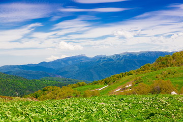 Mountain summer. Sunny day. Rocky route