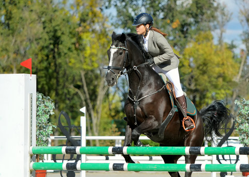 Black horse and girl in uniform at show jumping competition. Equestrian sport background. Sunny day.