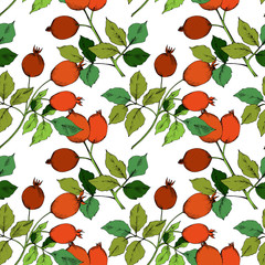 Vector autumn red rose hip plant. Plant botanical garden floral foliage. Seamless background pattern.Vector leaf for background, texture, wrapper pattern, frame or border.