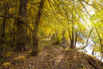 Fototapeta premium Country autumn landscape, leaf fall