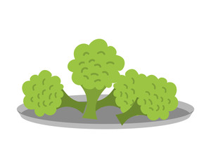 vegetable fresh organic