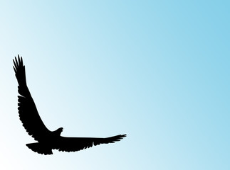 Eagle silhouette