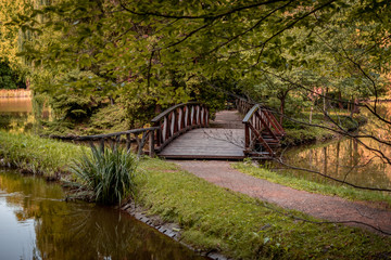 wooden bridge in the forest