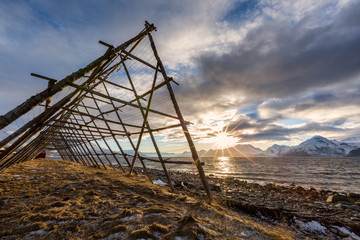 Sunny winter day on seashore