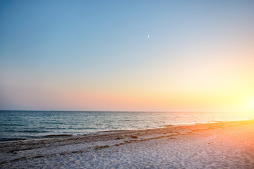 a wild beach and a pigeon sea water on a lovely sunny day
