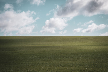 Green field with slightly cloudy sky
