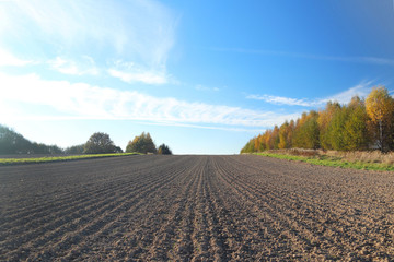 The furrows of the plowed field at the edge of the forest. Free soil for planting crops. Agricultural business. Technology vіraschivaniya food. Seasonal field work. Farmland. The quality of the soil