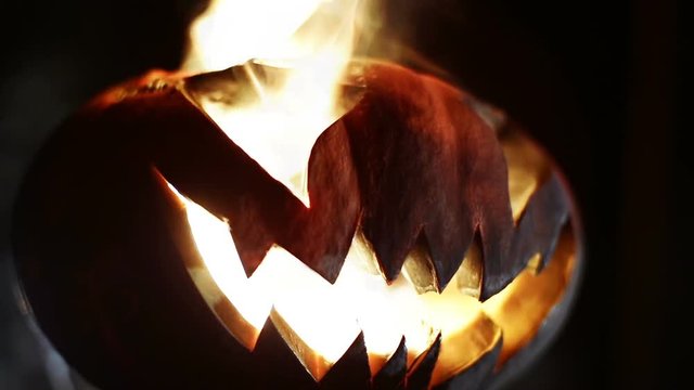Halloween pumpkin. Looped