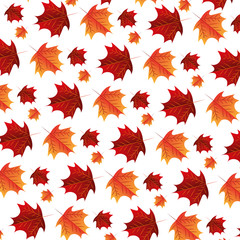 autumn leaves foliage white background pattern