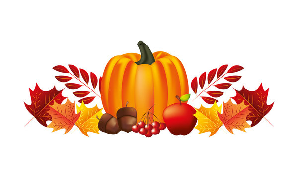 pumpkin apple acorn cherries and foliage leaves
