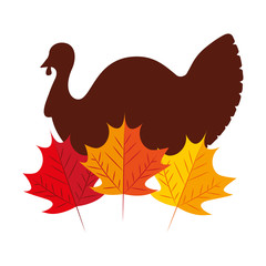 turkey bird with autumn leaves natural