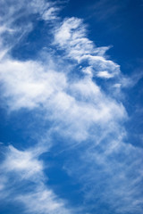 blue sky with white cloud