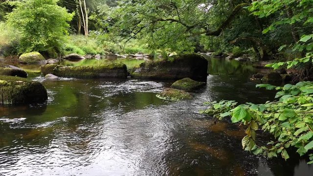 An ink smudge spreading reveals a relaxing scenery of a quiet river in a lush forest. Luma matte in the second part of the clip.
