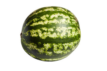 Gourd culture. Whole round watermelon berry with green striped peel isolated on white background