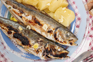 Grilled atlantic horse mackerel meal