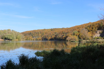  Autumn forest is on the shores of the forest lake