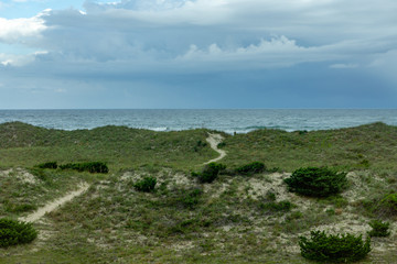 Fototapeta na wymiar Path leading to the beach and ocean