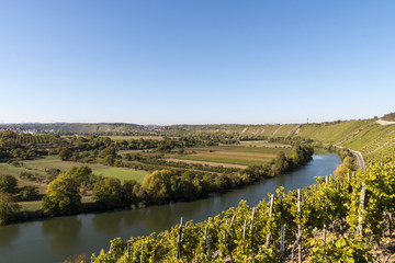 Fototapeta na wymiar View over the Neckar valley from the rock gardens with blue sky