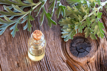 A bottle of wormwood essential oil with fresh Artemisia Absinthium twigs