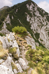 Mountain peaks and trails in summer time. Romania